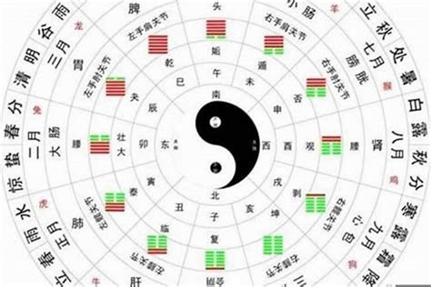 五行十神|八字十神详解实用表格 – 十神详解大全